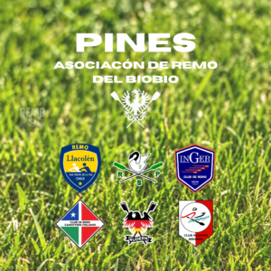 Pin Clubes Asociación de Remo Biobío