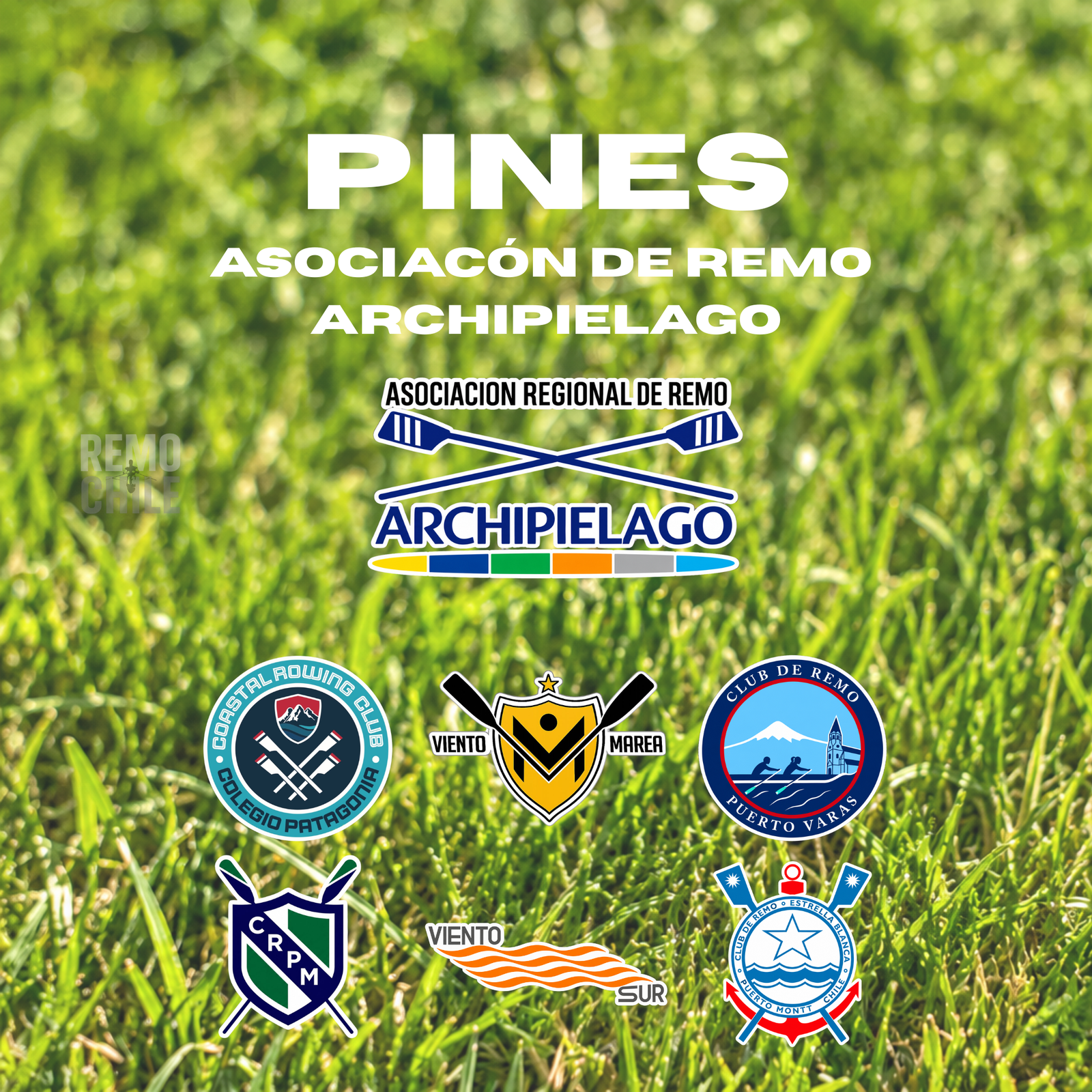 Pines Clubes Asociación de Remo Archipiélago