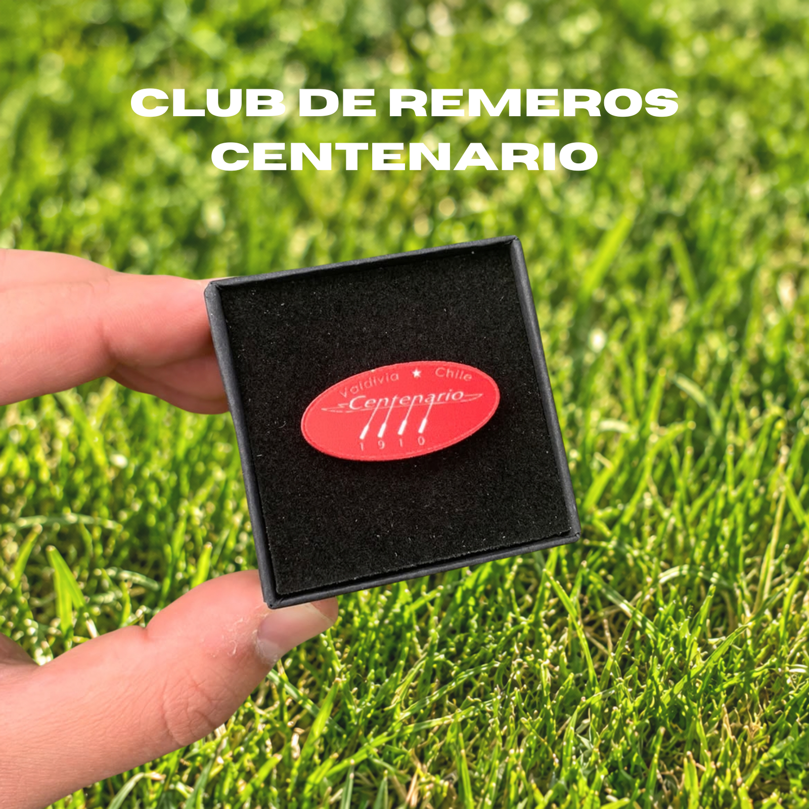 Pines Clubes Asociación Austral de Remo - Imagen 3