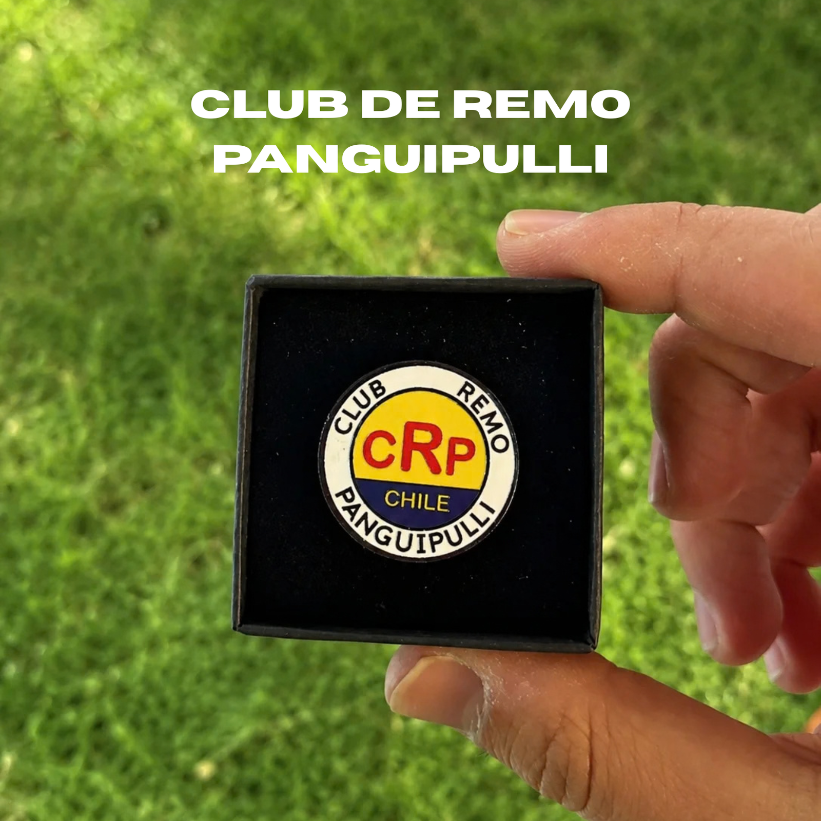 Pines Clubes Asociación Austral de Remo - Imagen 5
