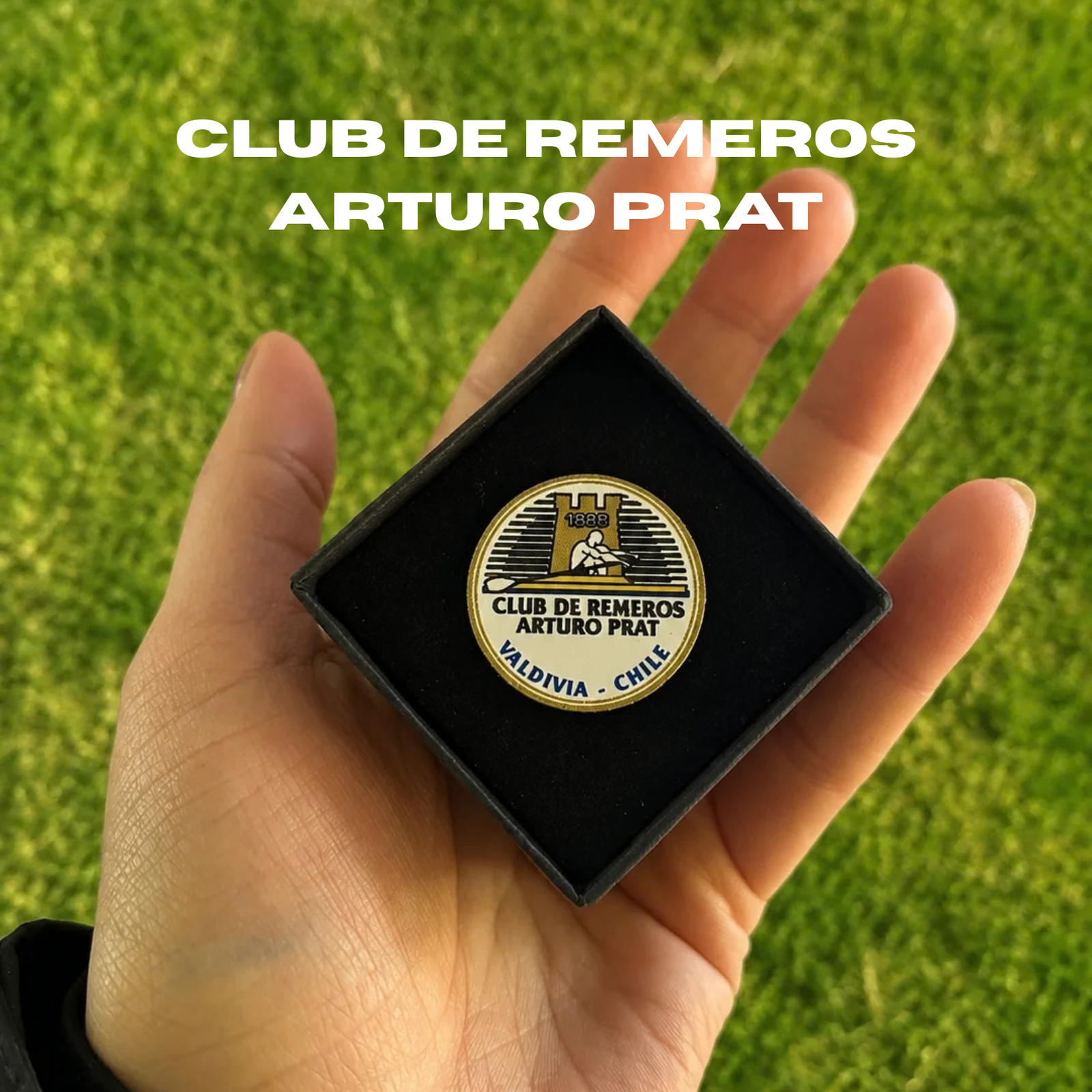 Pines Clubes Asociación Austral de Remo - Imagen 4