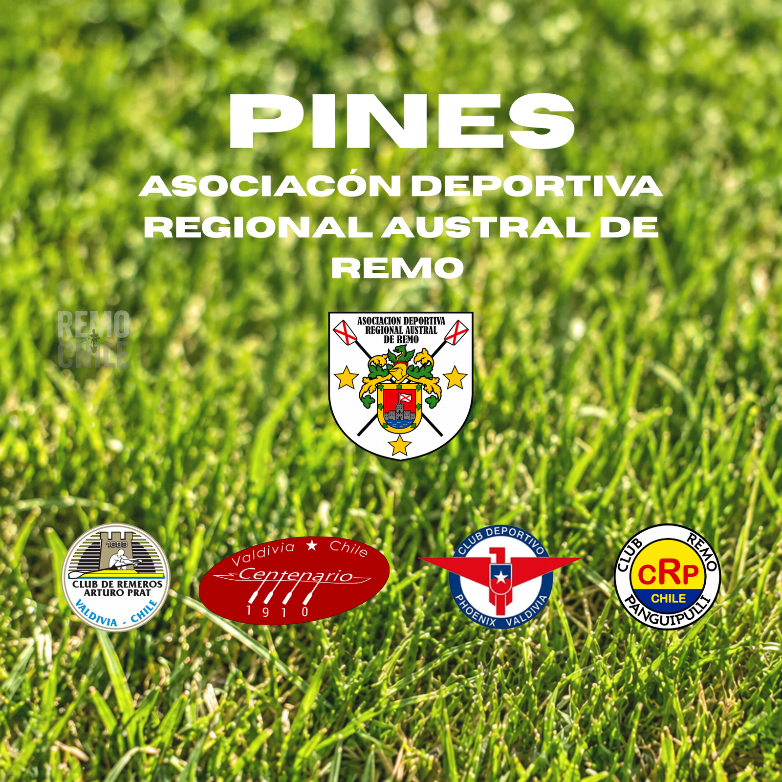 Pines Clubes Asociación Austral de Remo